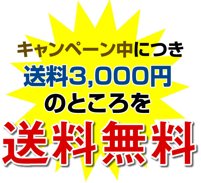 キャンペーン中につき送料3,000円のところを送料無料!